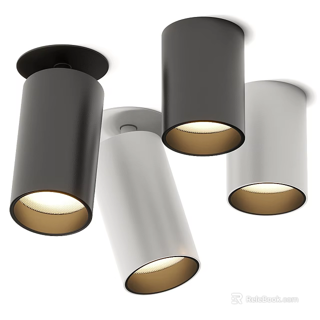 Modern Downlights and Spotlights Design With Black White Ceiling Lighting Fixtures 3d model 