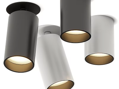 Modern Downlights and Spotlights Design With Black White Ceiling Lighting Fixtures 3d model