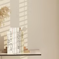 Modern Book Ornaments Combination 3d model