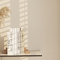 Modern Book Ornaments Combination 3d model