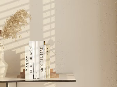 Stylish Books Stacked On Wooden Shelf Against Textured Wall With Pampas Grass And Sunlight 3d model