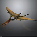 Pterosaur With Outstretched Wings Long Beak And Detailed Body Structure