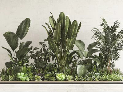 Various Types Of Indoor Green Plants With Different Leaf Shapes And Decorative 3d model