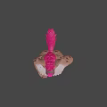 Cartoon Spotted Character With Pink Ears Tail White Chest Fur Standing On Blue Background