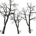 Dead trees, dead branches, trees 3d model