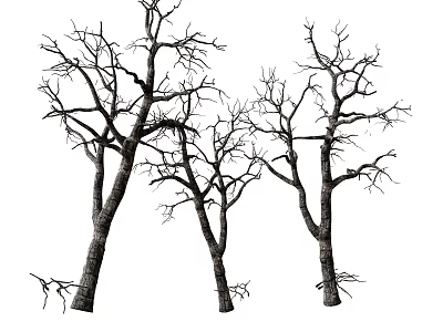 Leafless Arbor Trees With Dry Trunks And Bare Twisted Branches 3d model