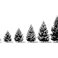 Snow Covered Pine Trees In Various Sizes Arranged In A Line 3d model