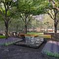 Residential Landscape With Stone Pathway Lined By Lush Greenery Purple Flowers And Canopy Of Trees