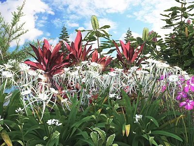Vibrant Garden With Red Leaves White Flowers And Purple Blooms Under Blue Sky 3d model