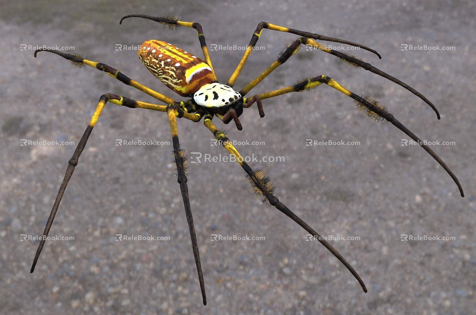 Modern golden silk round spider spider insect animal creature 3d model