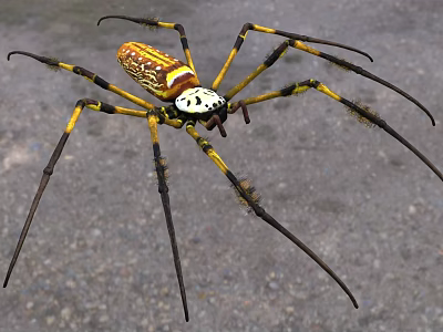Vibrant Yellow And Black Reptile With Long Legs And Body Patterns On Ground 3d model