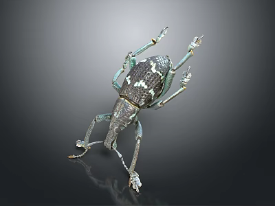 Black And White Spotted Beetle With Long Legs On Dark Reflective Background 3d model