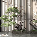 Indoor Bonsai Pine Tree Plant With Decorative Ceramic Pot For Modern Home Greenery Decoration
