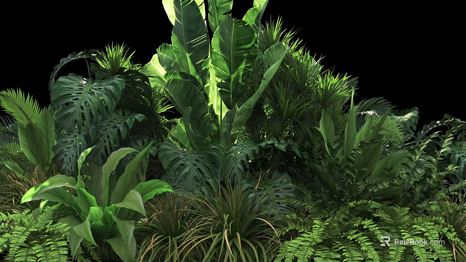Lush Various Tropical Plants With Dense Green Foliage On Dark Background 3d model 