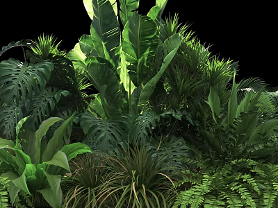 Lush Various Tropical Plants With Dense Green Foliage On Dark Background 3d model