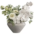 Bonsai Potted Plants In Ceramic Vases With White Flowers And Green Leaves