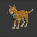 Orange and White Cat 3D Model Standing on Black Surface with Reflection