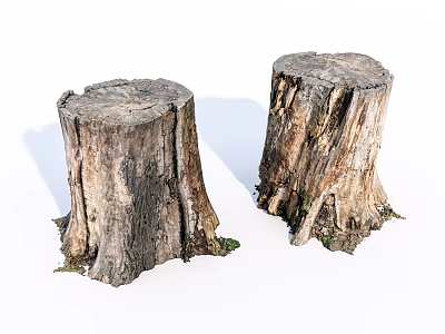 Natural Wooden Tree Stumps With Rustic Texture And Rough Surface 3d model