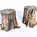 Natural Wooden Tree Stumps With Rustic Texture And Rough Surface 3d model