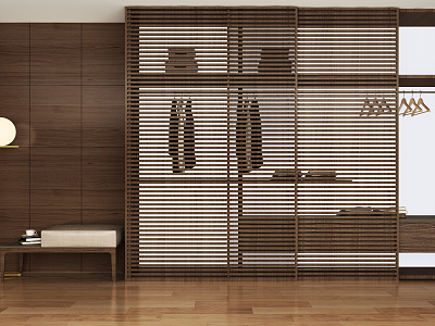 Modern wardrobe model