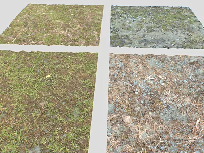 Various Natural Ground Surfaces Including Grass Moss and Gravel Textures 3d model