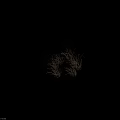 Dried Grass Clump with Wispy Brown Leaves for Garden Decoration