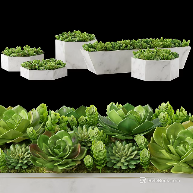 Green Potted Succulent Plants In White Marble Pots With Various Shapes 3d model 