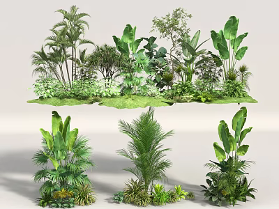 Natural Floral Art Display With Lush Green Plants Tropical Foliage And Decorative Shrubs 3d model
