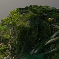Rustic Stone And Wood Stump Covered With Green Moss And Plants