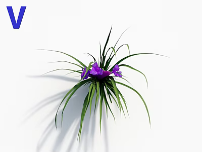Fresh Vibrant Purple Flowers With Long Green Leaves On White Background 3d model