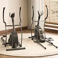 Two Elliptical Machines as Sports Equipment in Carpeted Room with Window and Plant