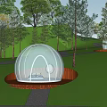 Scenic RV Campsite Featuring Multiple RVs Parked On Green Grass Surrounded By Trees