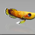 Colorful Artistic Fish With Vibrant Colors Large Eye Fins Tail And Dark Background Reflection
