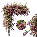 Lush Vine Covered With Purple Flowers Close Up 3d model