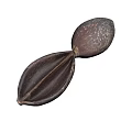 Dark Brown Plant Seed With Textured Surface And Split Shell Structure