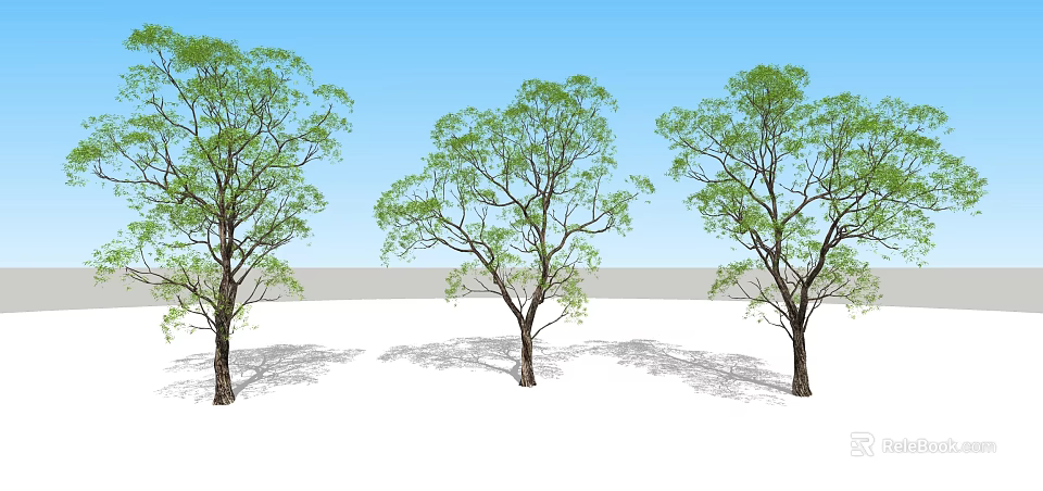 Arbor Trees With Green Leaves And Blue Sky Background With Ground Shadows 3d model