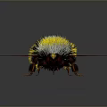 Fluffy Yellow And Black Bumblebee With Transparent Red Veined Wings On Dark Background