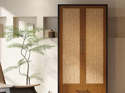 Elegant Modern Wardrobe With Wooden Frame And Rattan Panel Doors And Potted Fern 3d model