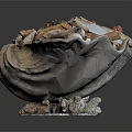 Modern Shell Sea Shell Sea Shell Sea Shell Sea Products 3d model