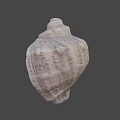 Fantasy Adventure Game Character With Detailed Conch Shell Prop Design