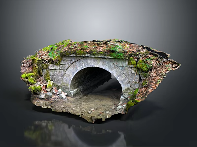 Ancient Stone Arch Bridge Covered With Green Moss And Plants In Natural Surroundings 3d model