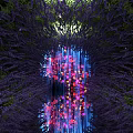 Lavender Plant Combination Forming Tunnel With Colorful Flowers And Water Reflection