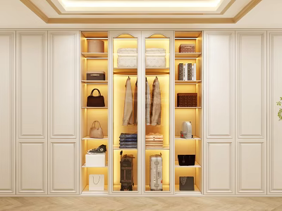 Modern Built in Wardrobe Interior Design With Lighting Clothing Storage Bags And Shelves 3d model