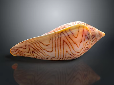 Organ And Hair Like Features On Striped Shell With Smooth Textured Surface 3d model