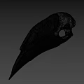 Ancient Fossil Skull With Large Sharp Beak And Detailed Bone Structure 3d model