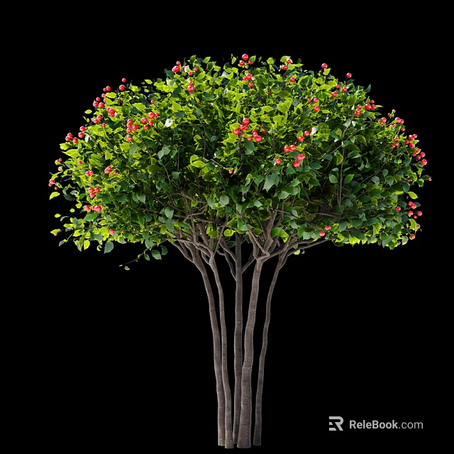 Ornamental Arbor With Multiple Trunks Lush Green Foliage And Red Blossoms 3d model