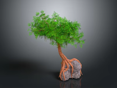 Lush Green Leafy Tree With Hanging Vines And Exposed Roots On Gray Rock 3d model