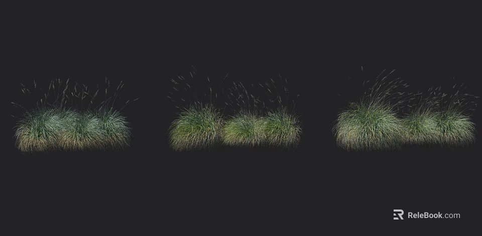 Green Grass Clusters In Different Forms With Lush Leaves On Black Background 3d model 