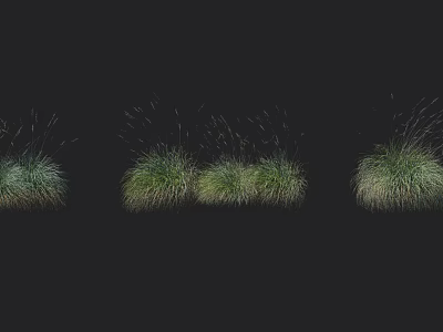 Green Grass Clusters In Different Forms With Lush Leaves On Black Background 3d model