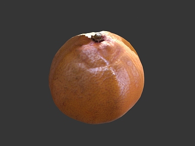 orange tangerine citrus fruit 3d model